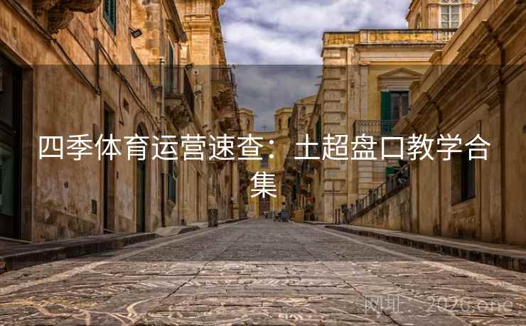 四季体育运营速查：土超盘口教学合集  第2张