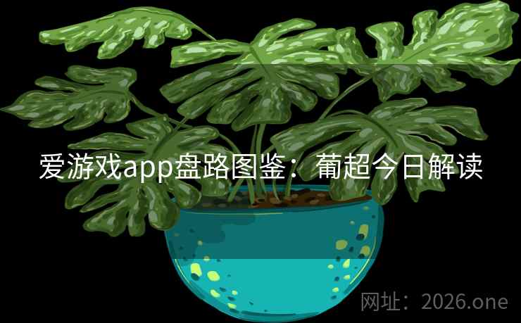 爱游戏app盘路图鉴：葡超今日解读  第2张