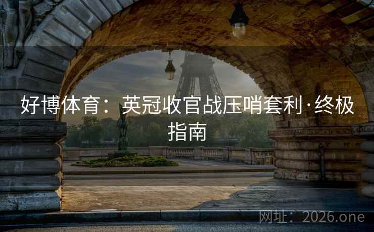 好博体育：英冠收官战压哨套利·终极指南  第2张