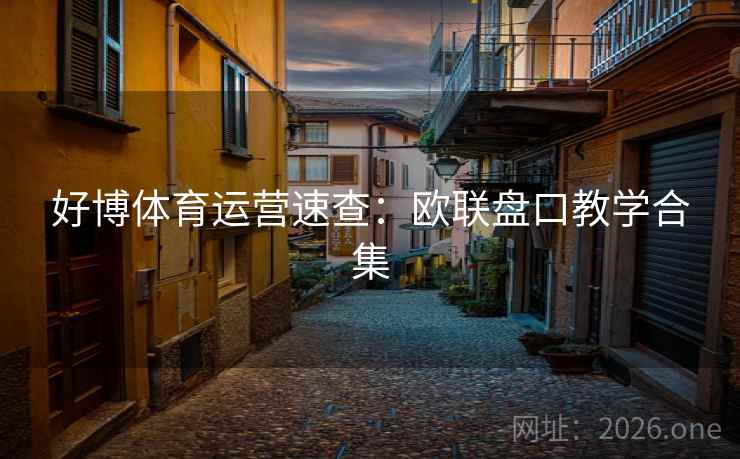 好博体育运营速查:欧联盘口教学合集 第2张 好博体育运营速查:欧联盘口教学合集 第2张